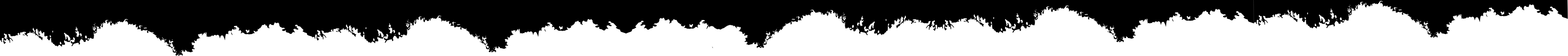 srv-img1.png